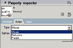 Вкладка Script и опции ниспадающего меню Туре